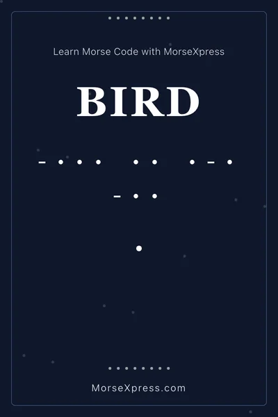 Bird Morse Code Share Card - Learn with MorseXpress